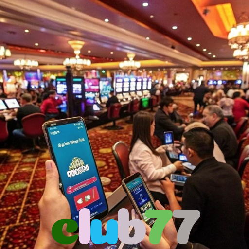 club77